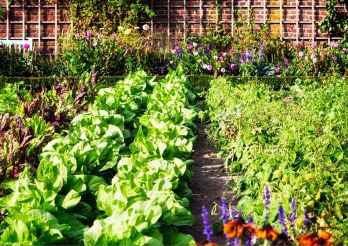 Roulotte De Florette ตูร์เรสส์-ซัวร์-ลูป ภายนอก รูปภาพ